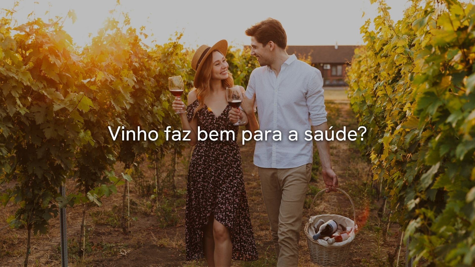 Vinhos fazem bem à saúde? Conheça os benefícios e os segredos das uvas autóctones italianas na Italiamais