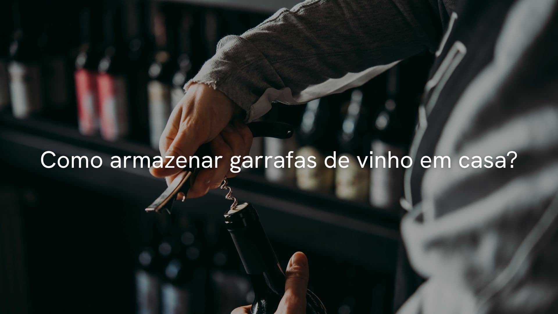 Como armazenar garrafas de vinho em casa? Guia prático para preservar seus vinhos autóctones italianos