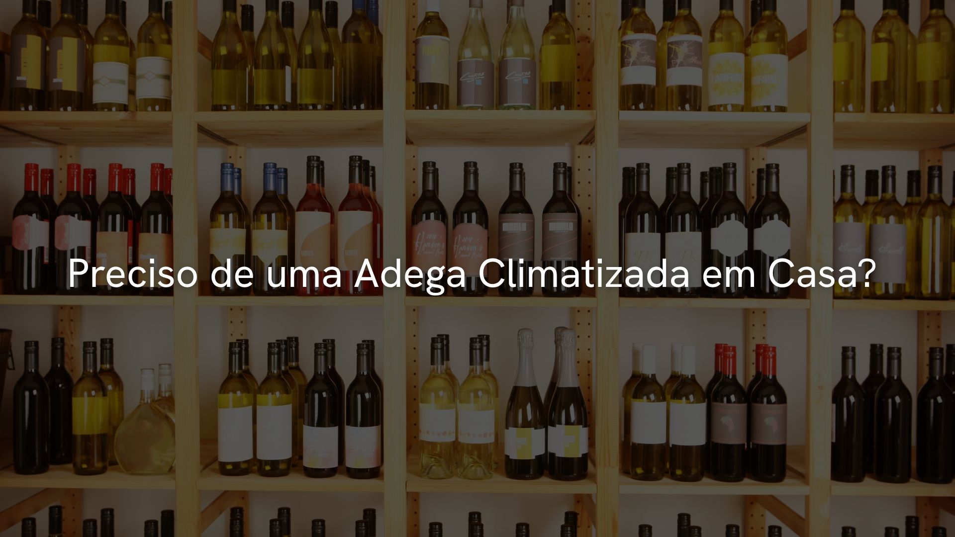 Preciso de uma Adega Climatizada em Casa? Dúvida de Todo Apaixonado por Vinhos Italianos