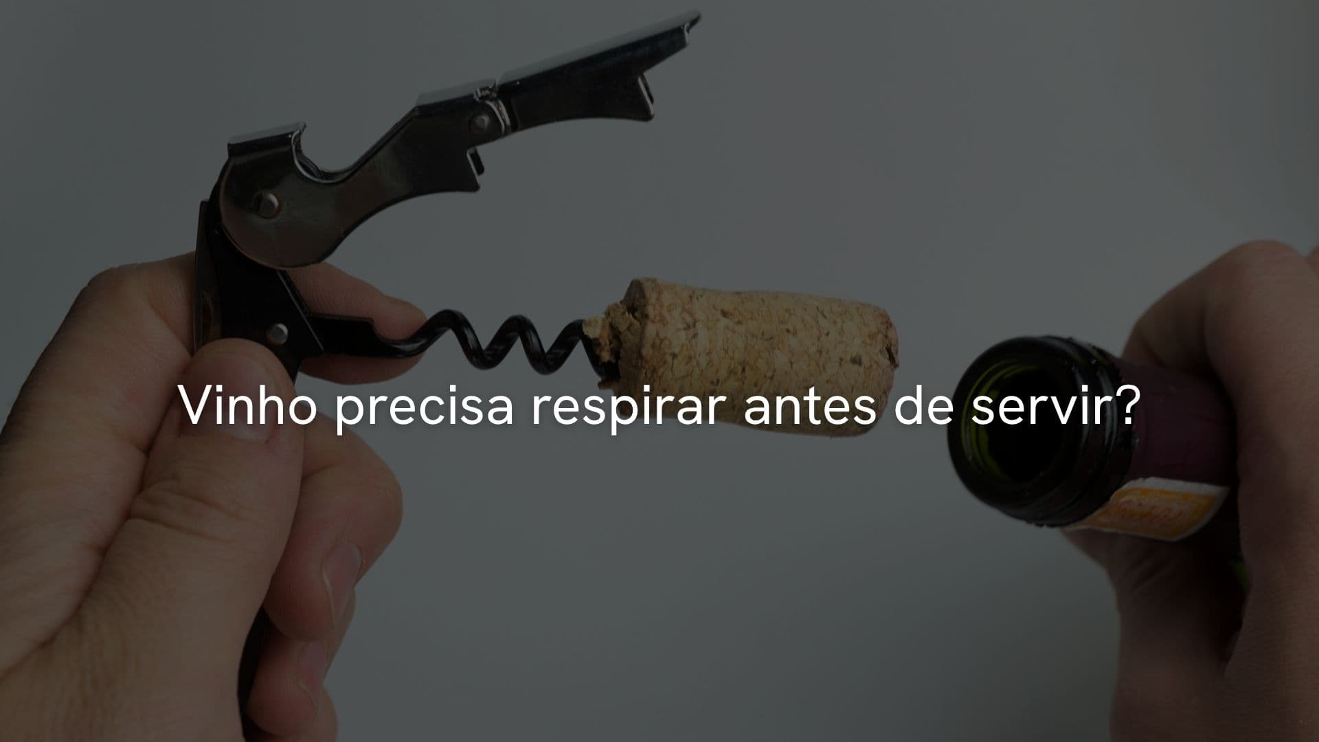 Vinho precisa respirar antes de servir? Descubra o segredo para aproveitar ao máximo os vinhos autóctones italianos da Italiamais