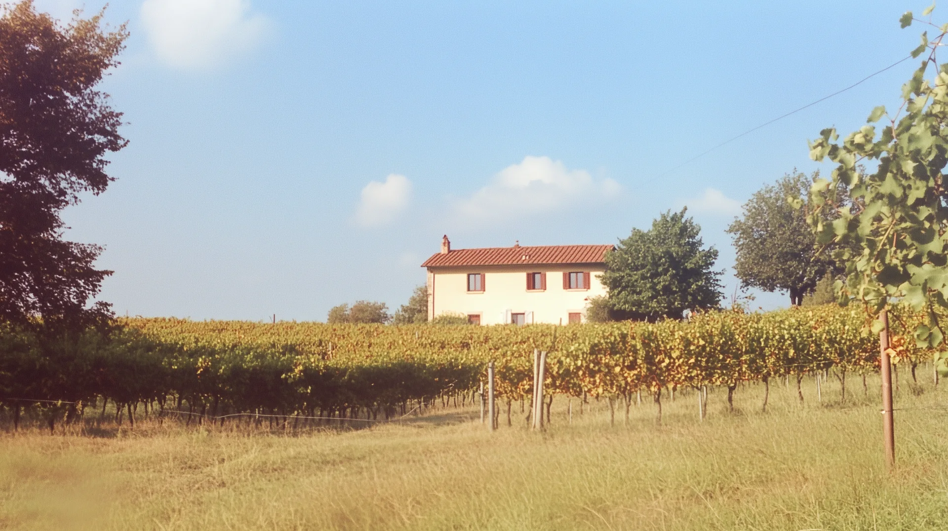 Vinícola italiana